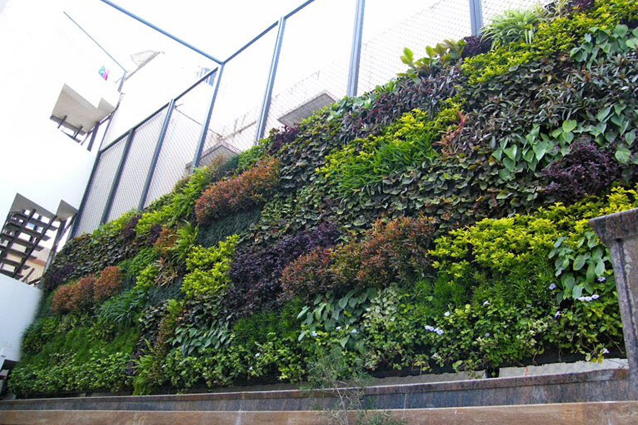 Sbl Farms Green walls and Living walls, Vertical Garden, Bio Curtains